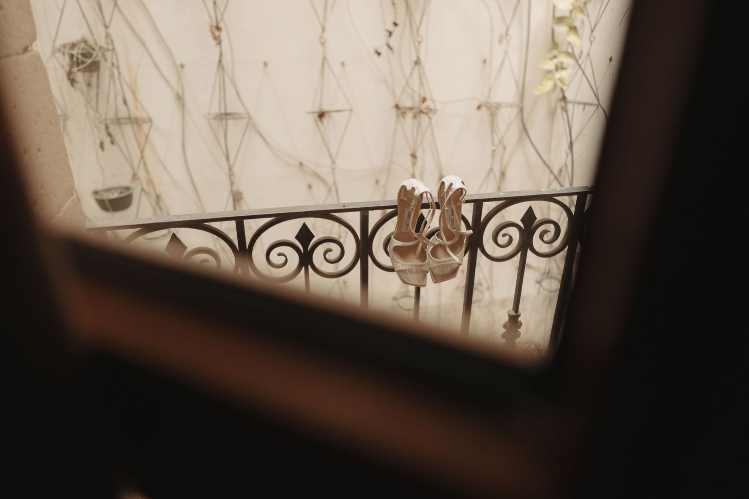 Ornate wrought iron railing seen through a window with blurred vines and branches creating a moody atmosphere.