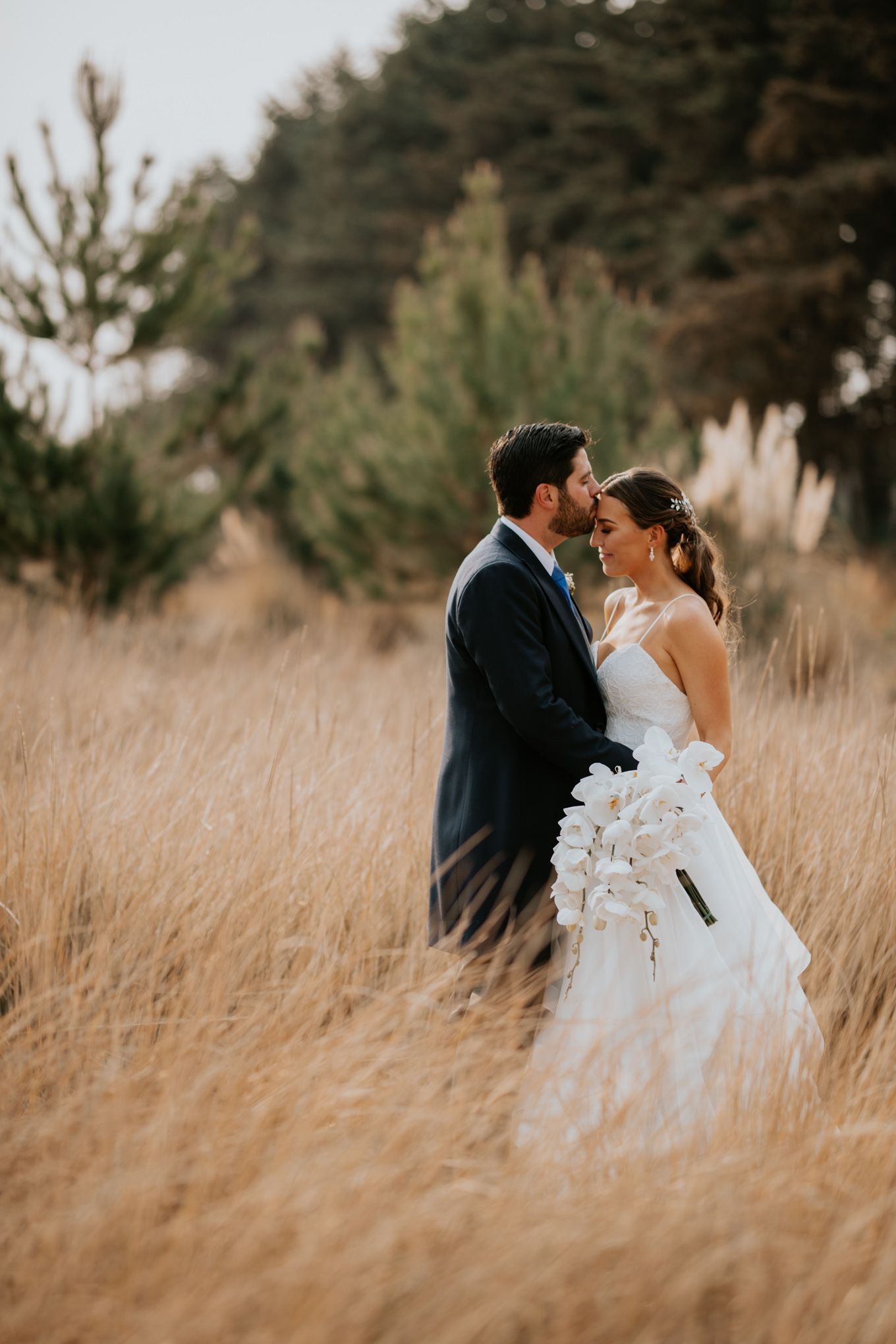 Intimate wedding portrait in golden field with couple embracing at sunset.