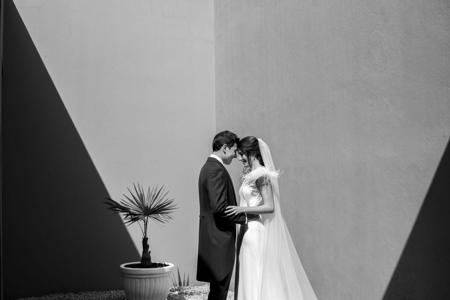 Minimalist black and white wedding portrait with dramatic shadows and a potted plant.