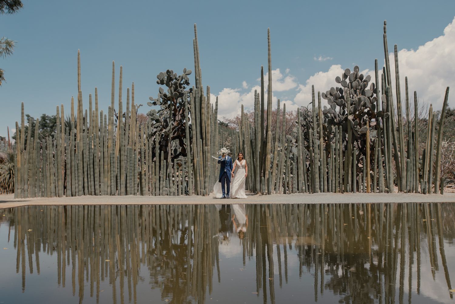 Two people stand surrounded by dead trees reflected in still water at forest preserve on a sunny day.