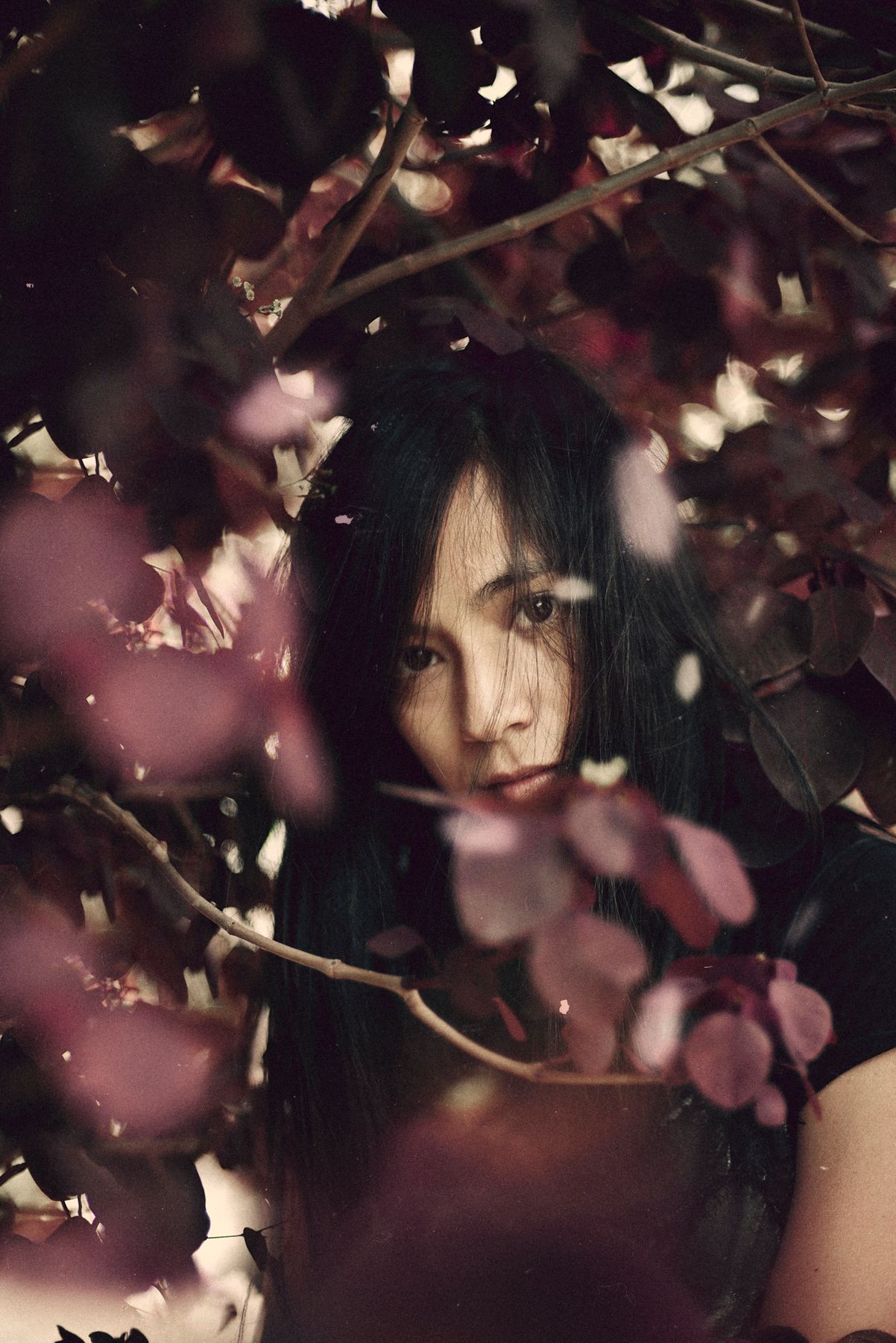 Atmospheric portrait through cherry blossoms with soft pink tones.