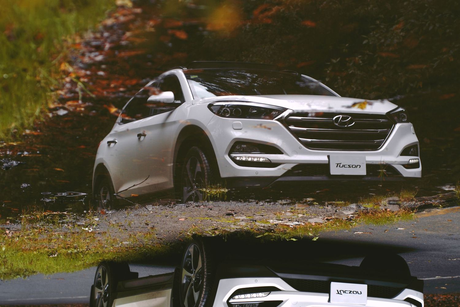 A white Hyundai SUV parked on a leaf-covered forest road during autumn season.