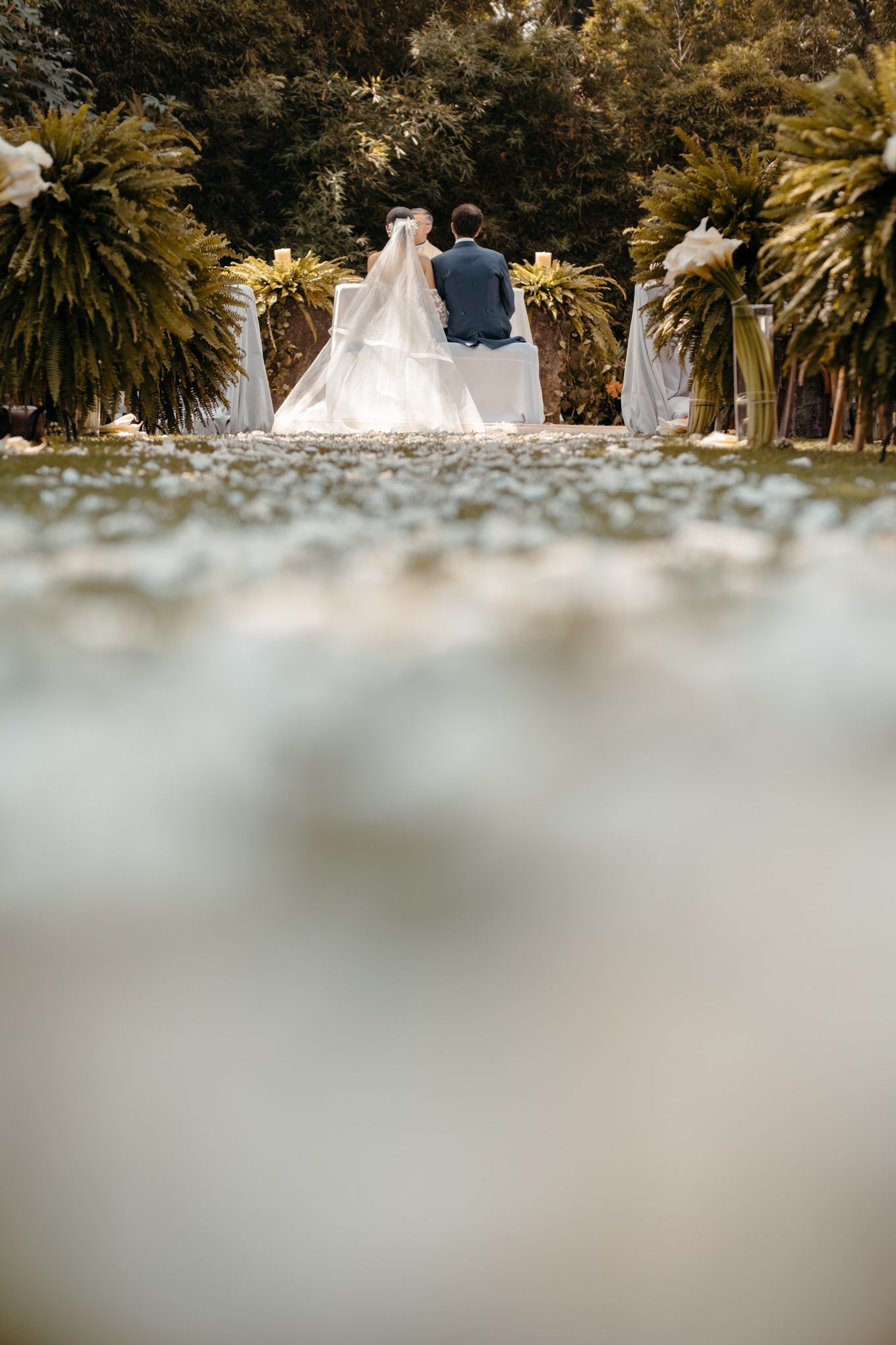 Wedding couple seated at outdoor ceremony venue with decorative palms and white details.