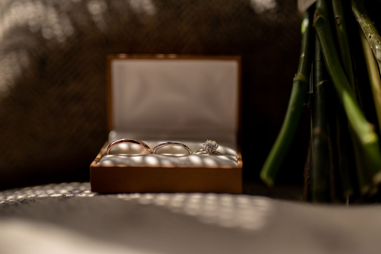 A wooden box filled with crystal and stone decorative elements sits in soft lighting with plant shadows.