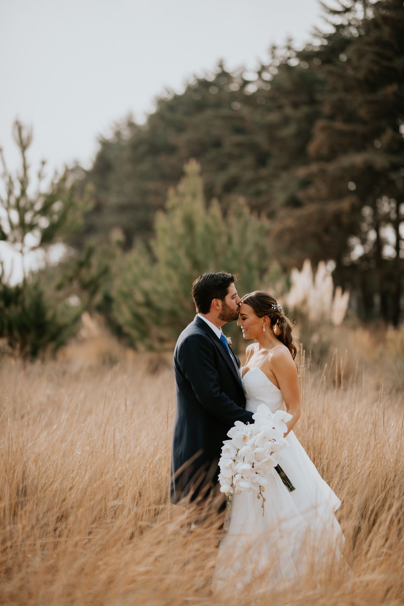 Romantic wedding portrait of couple embracing in tall golden grass with evergreen forest backdrop at sunset.