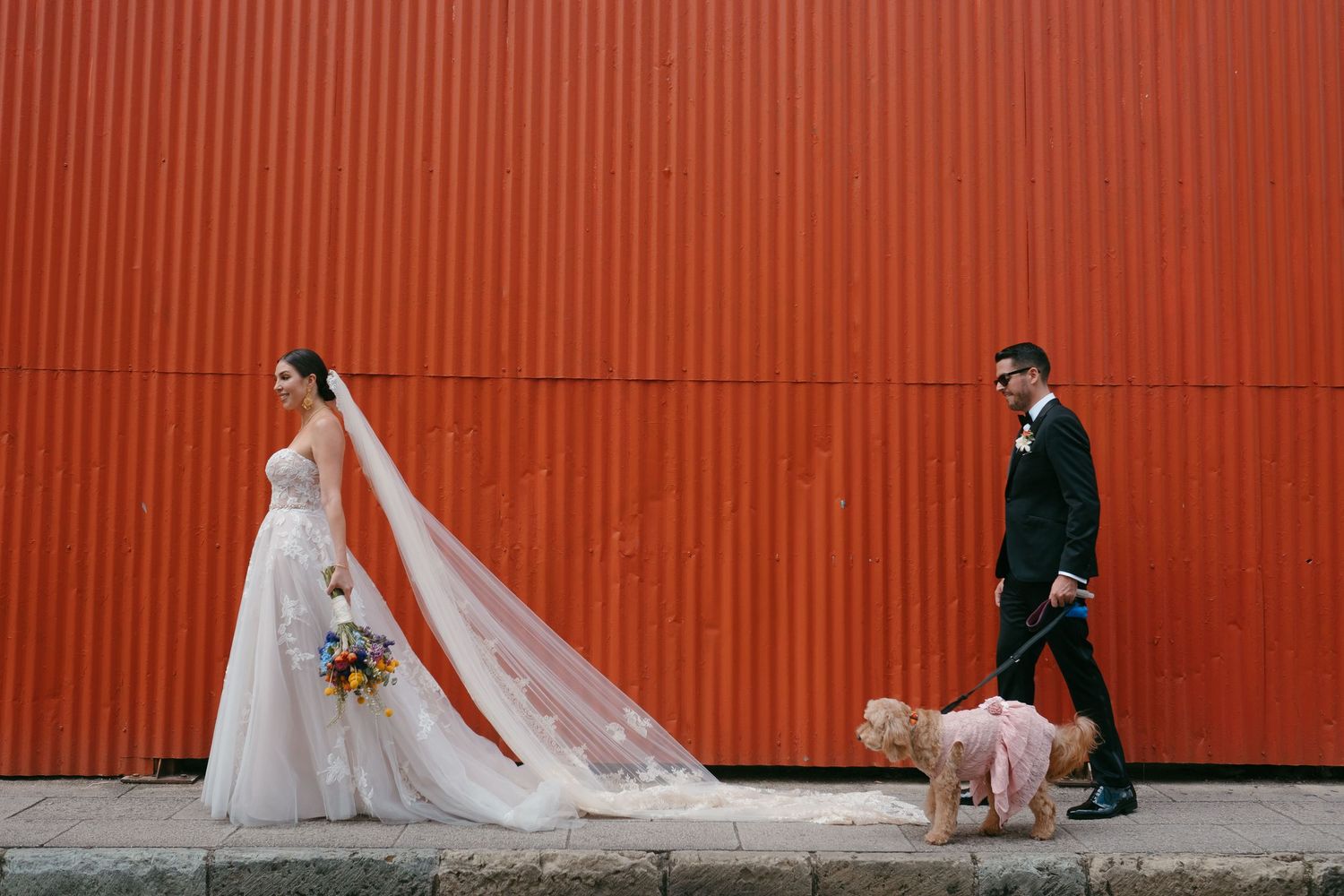 Wedding couple walks with their dog against vibrant red wall, bride's veil trailing behind.