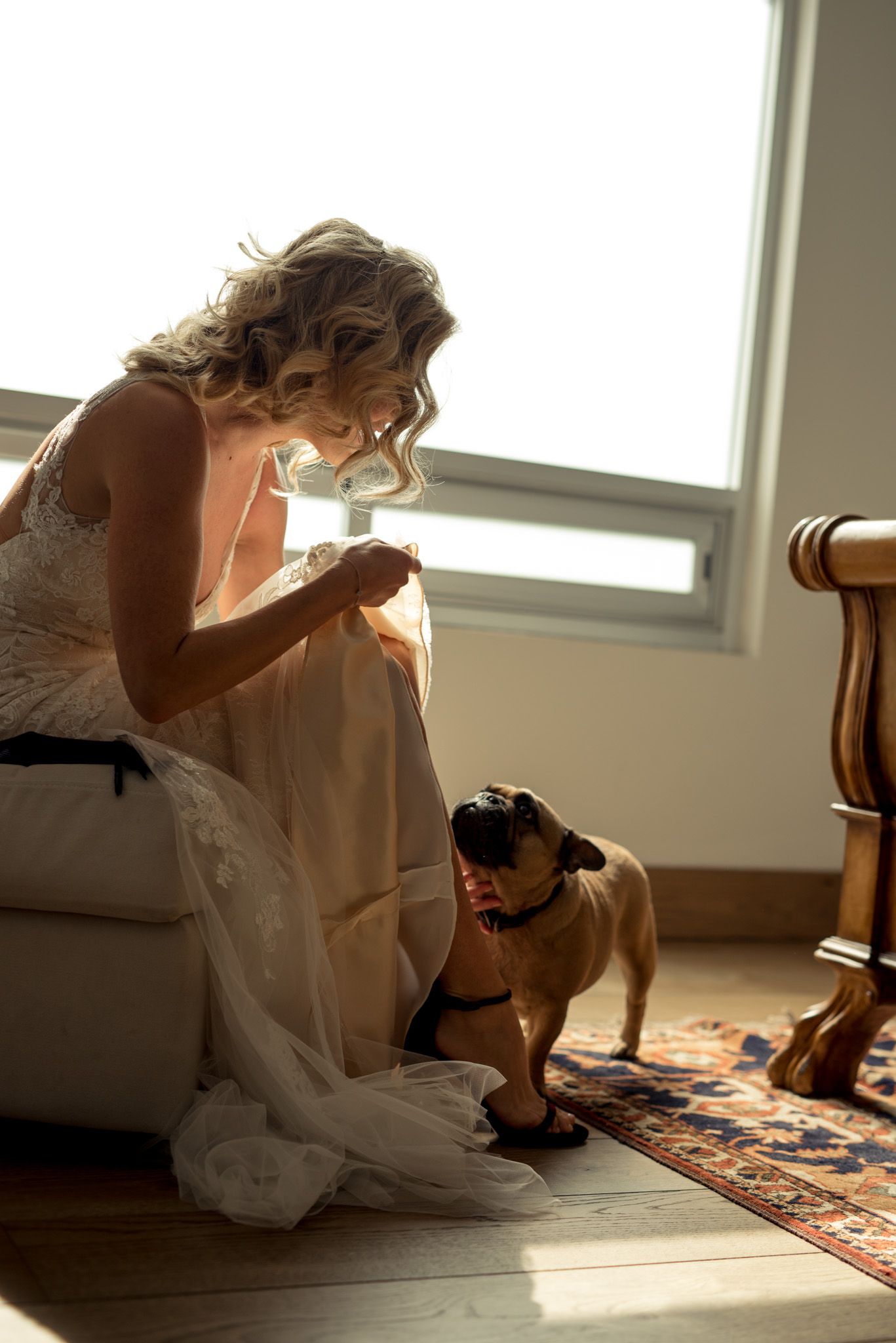 Intimate moment captured with wedding dress and boxer dog in sunlit room.
