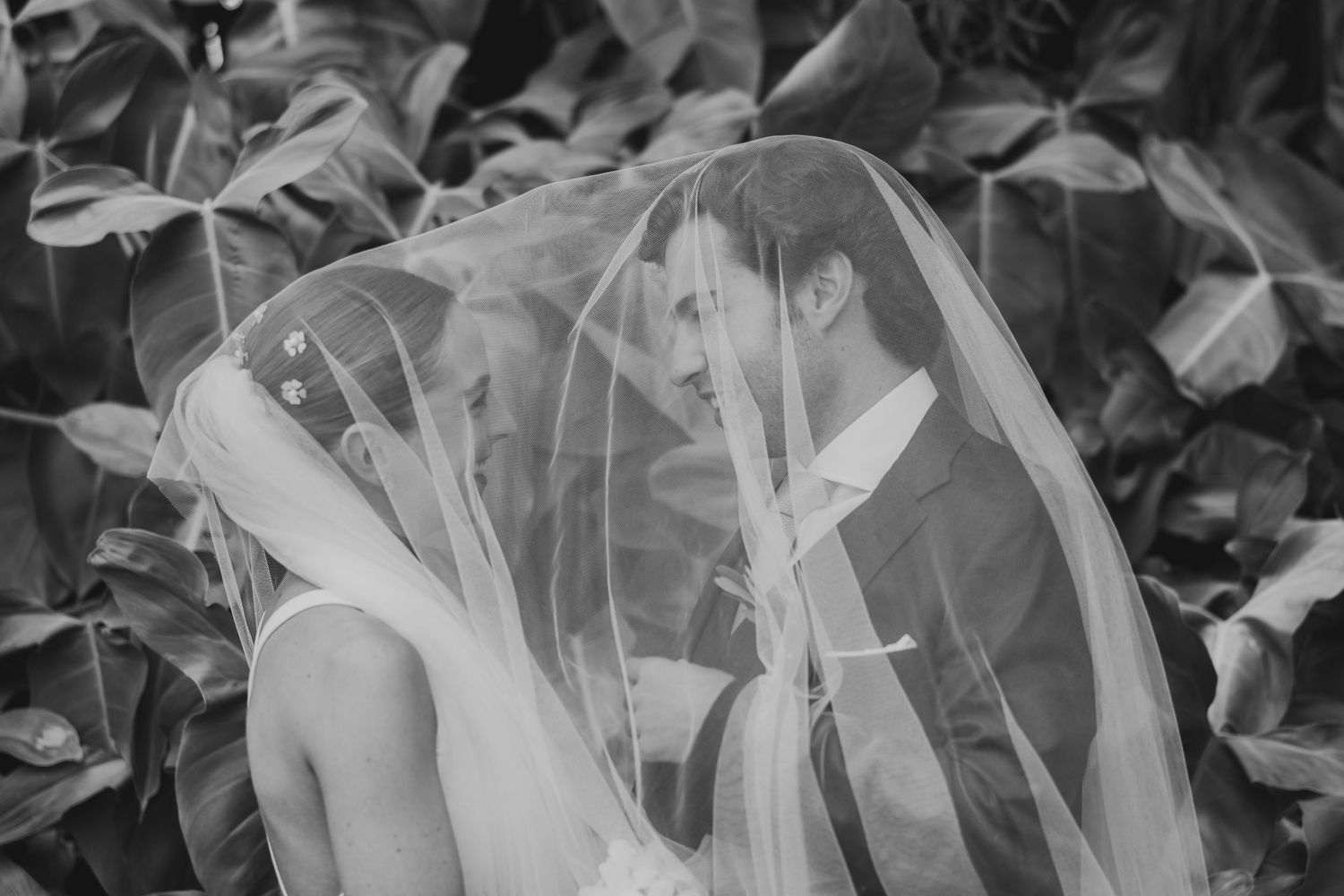A delicate bridal veil flows elegantly against a dark background of leaves.