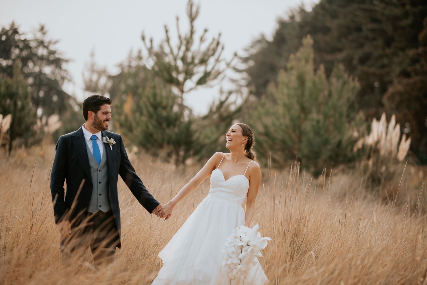 Newlyweds walk through tall golden grass at sunset holding hands in wedding attire.