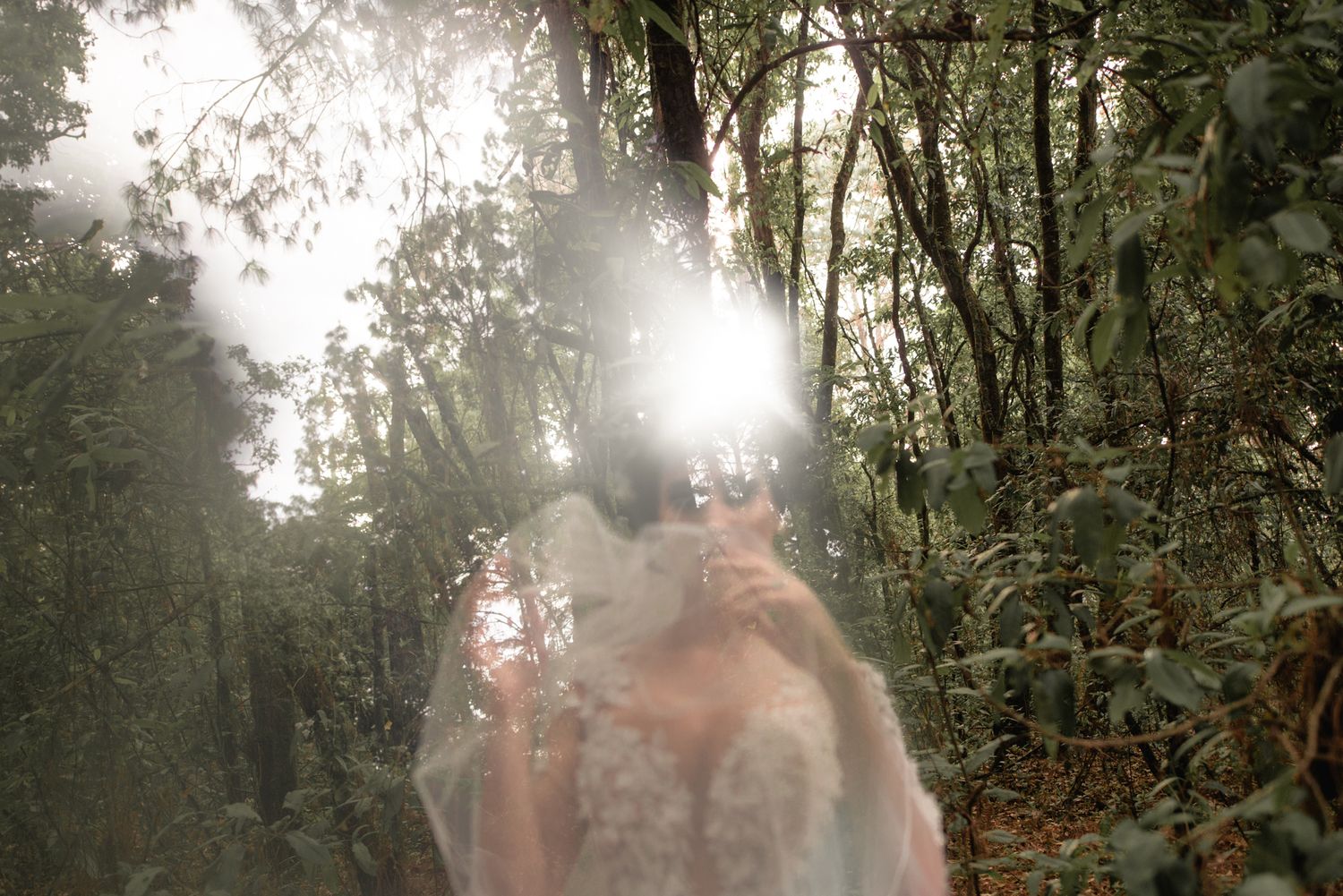 A dreamy, ethereal image taken in a misty forest with sunlight streaming through the trees creating a magical atmosphere.
