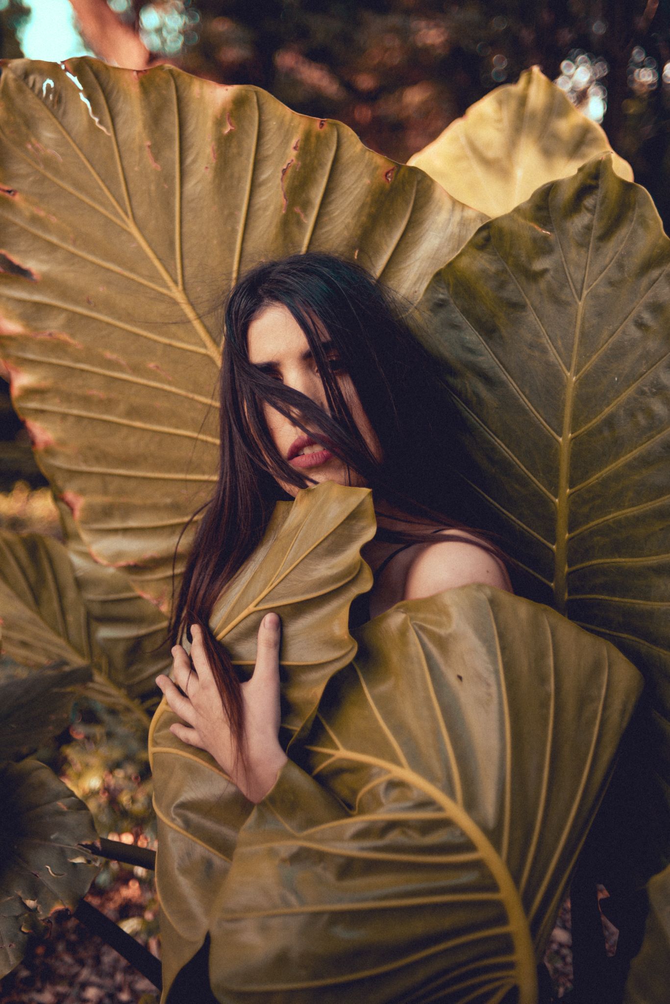 Artistic portrait posed with large golden leaves in natural setting.