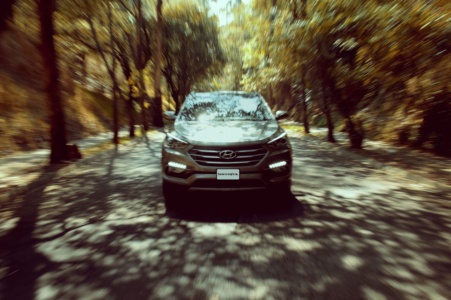 Modern SUV driving through a tunnel of autumn trees with motion blur effect creating a dramatic forest scene.