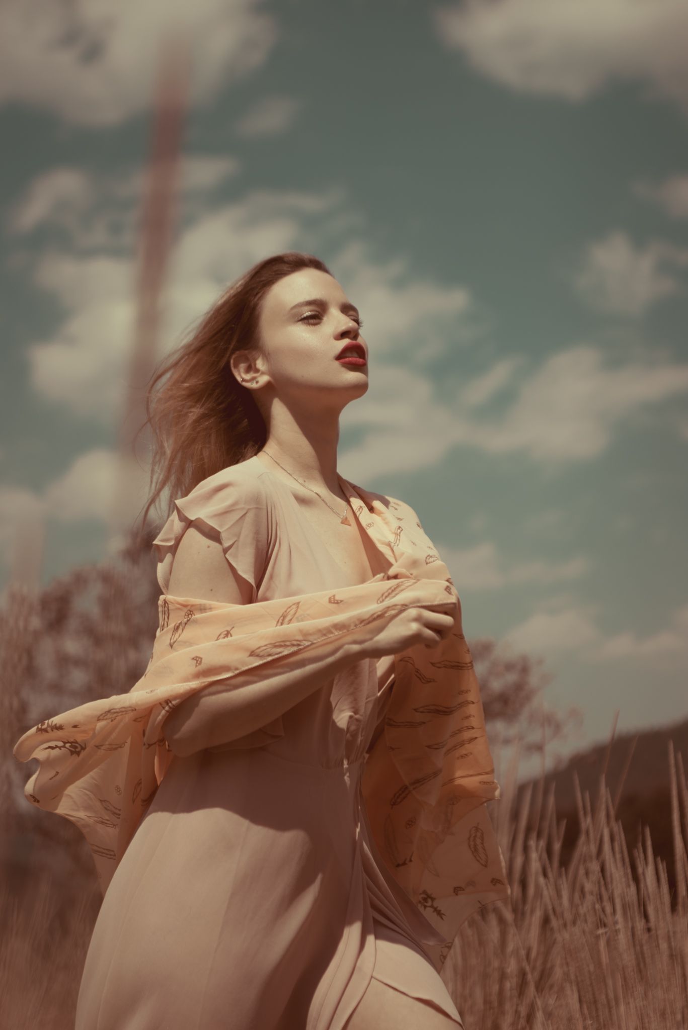 Dramatic portrait of woman in flowing dress against cloudy sky.