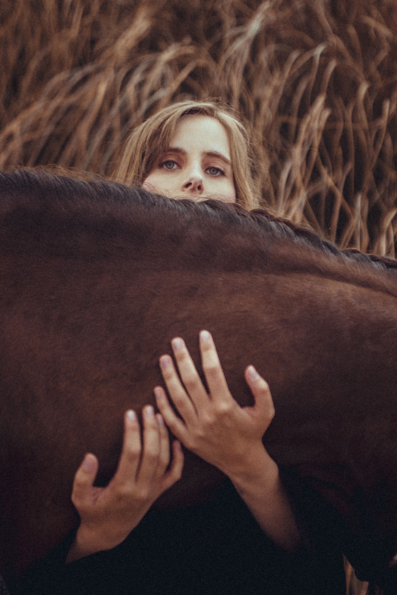 Artistic horse photography with person peeking over animal's back.