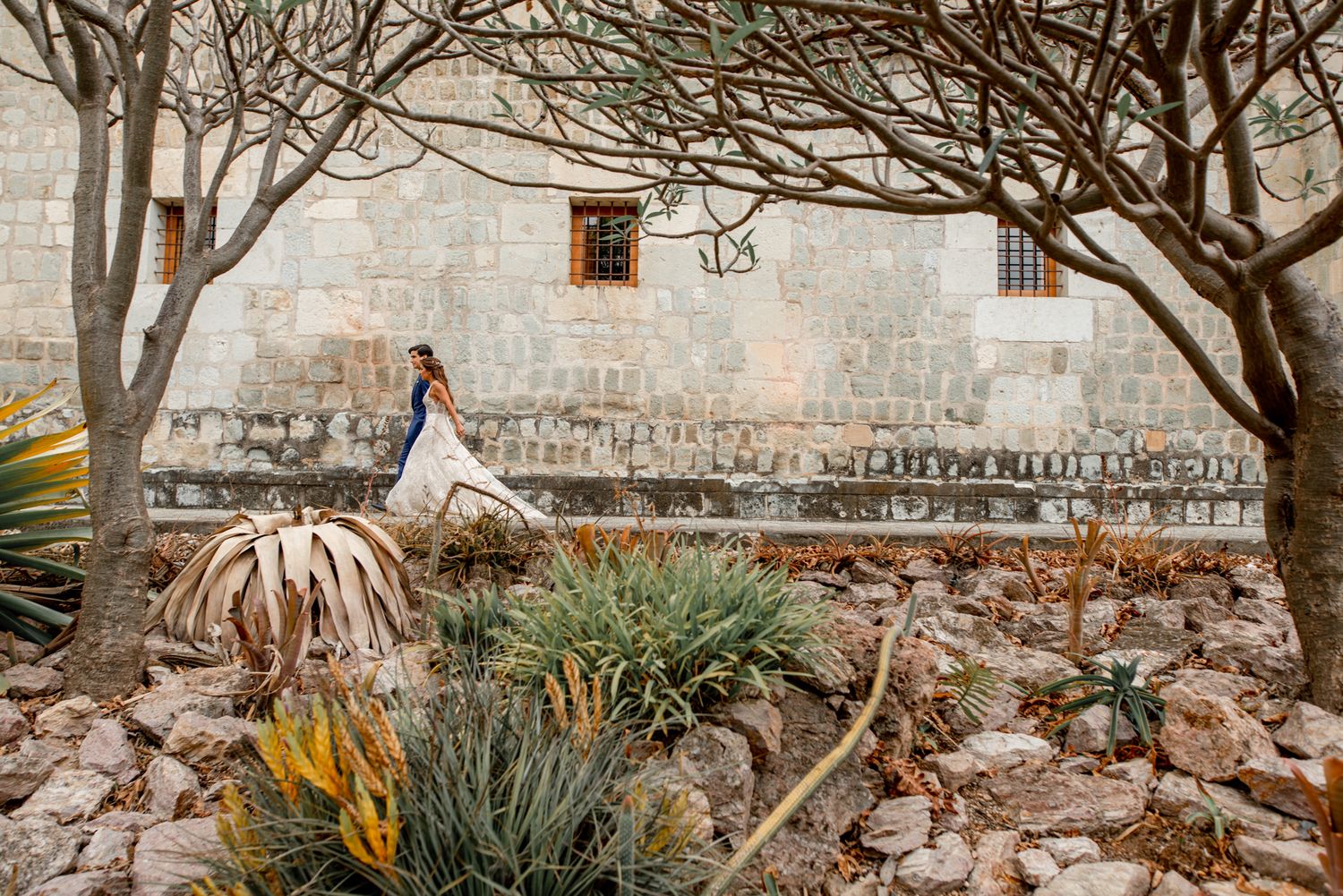 Person in a flowy dress stands among agave plants against a whitewashed wall with bare winter trees in a desert garden.