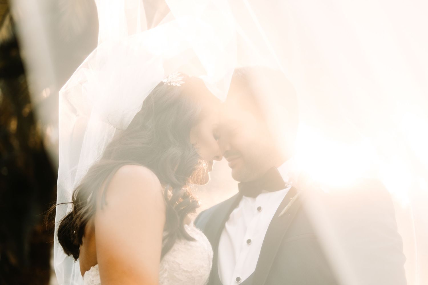 Ethereal backlit portrait of couple sharing intimate moment through wedding veil.