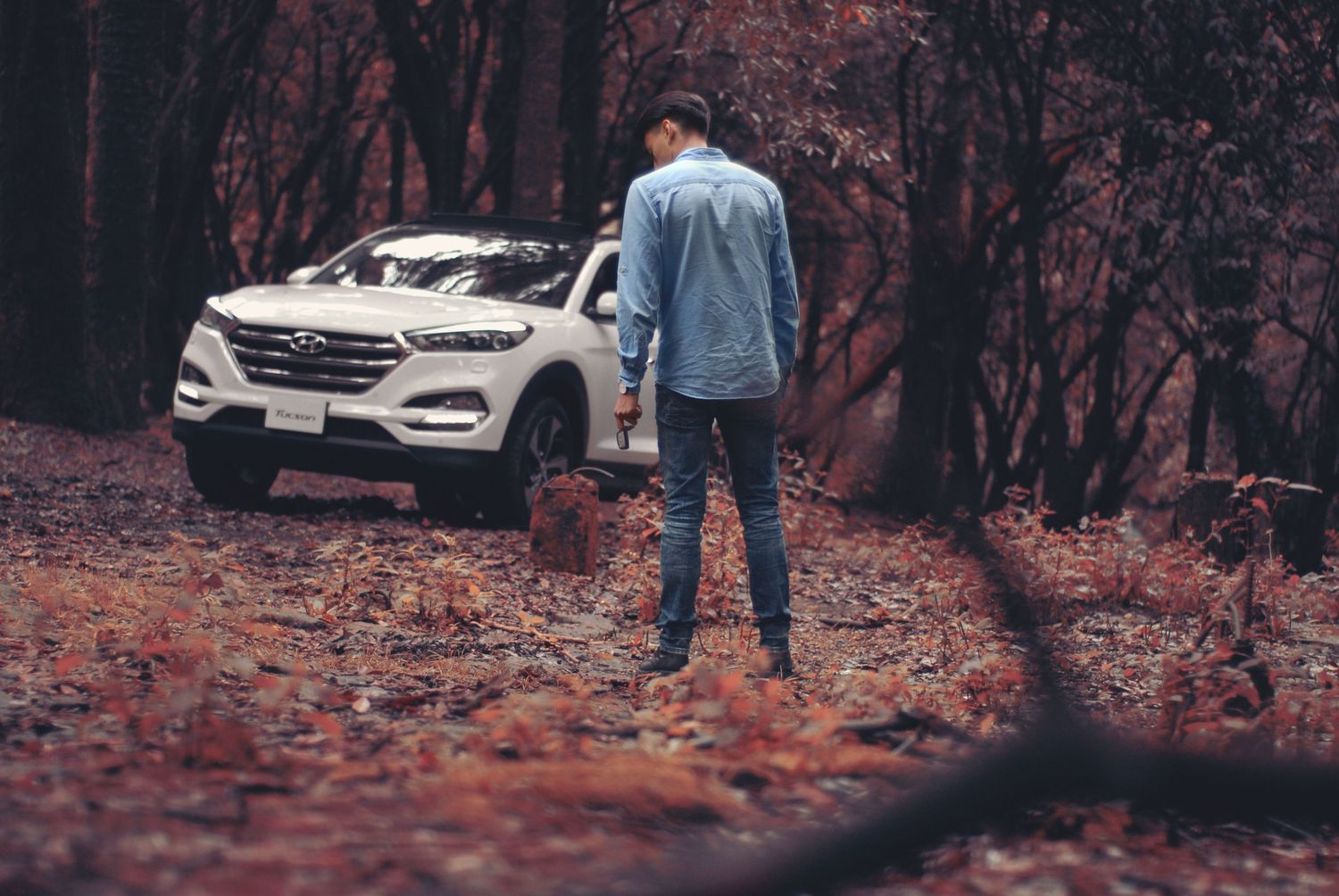 A person walks along a wooded path on a misty autumn day with a white car parked in the background.