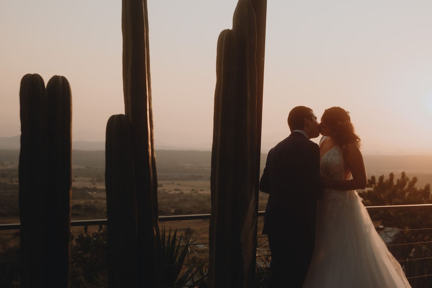 Silhouetted wedding couple against a desert sunset with cacti in the foreground.