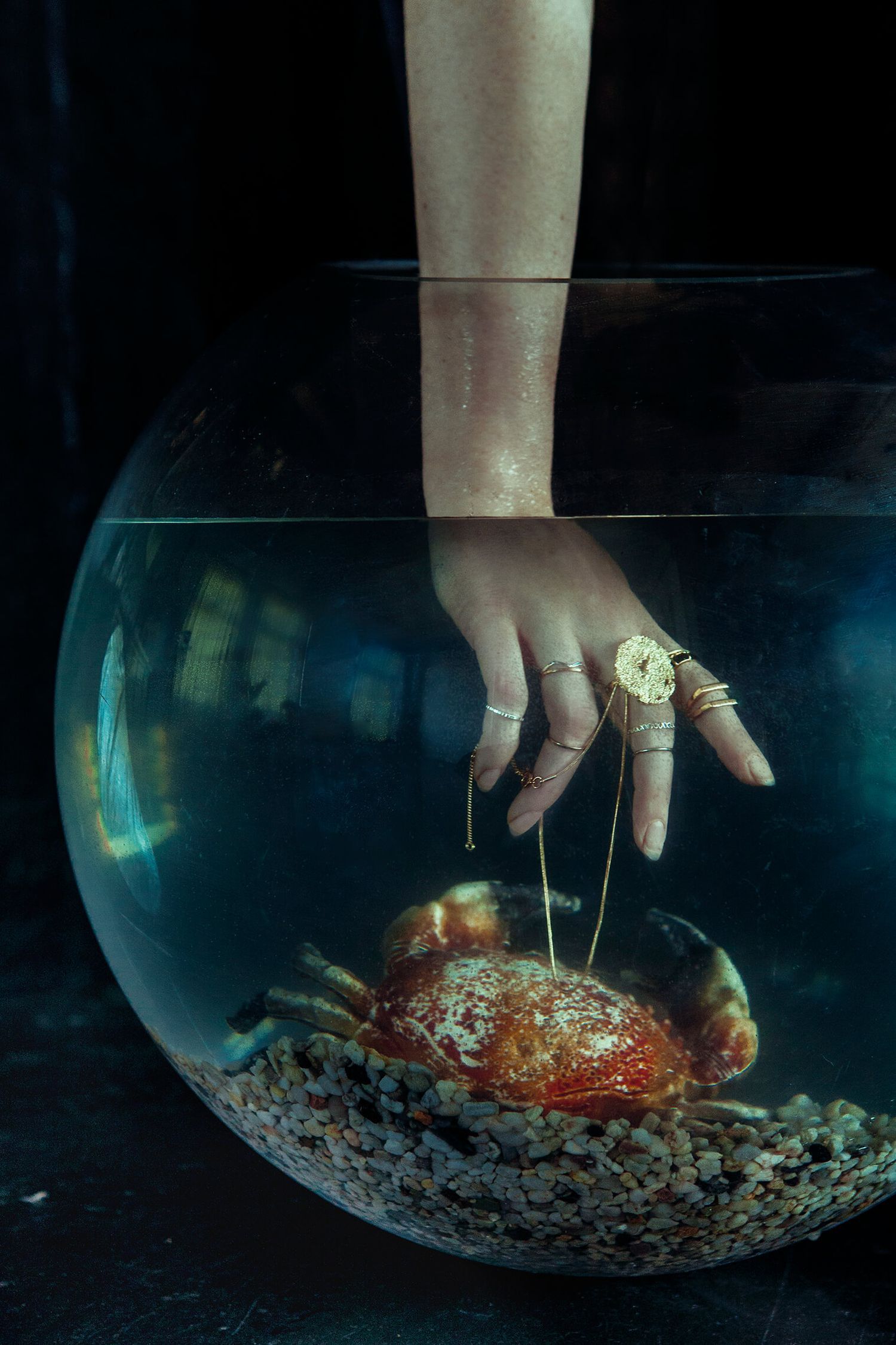 Hand with jewelry reaching into fishbowl with crab in atmospheric underwater scene.