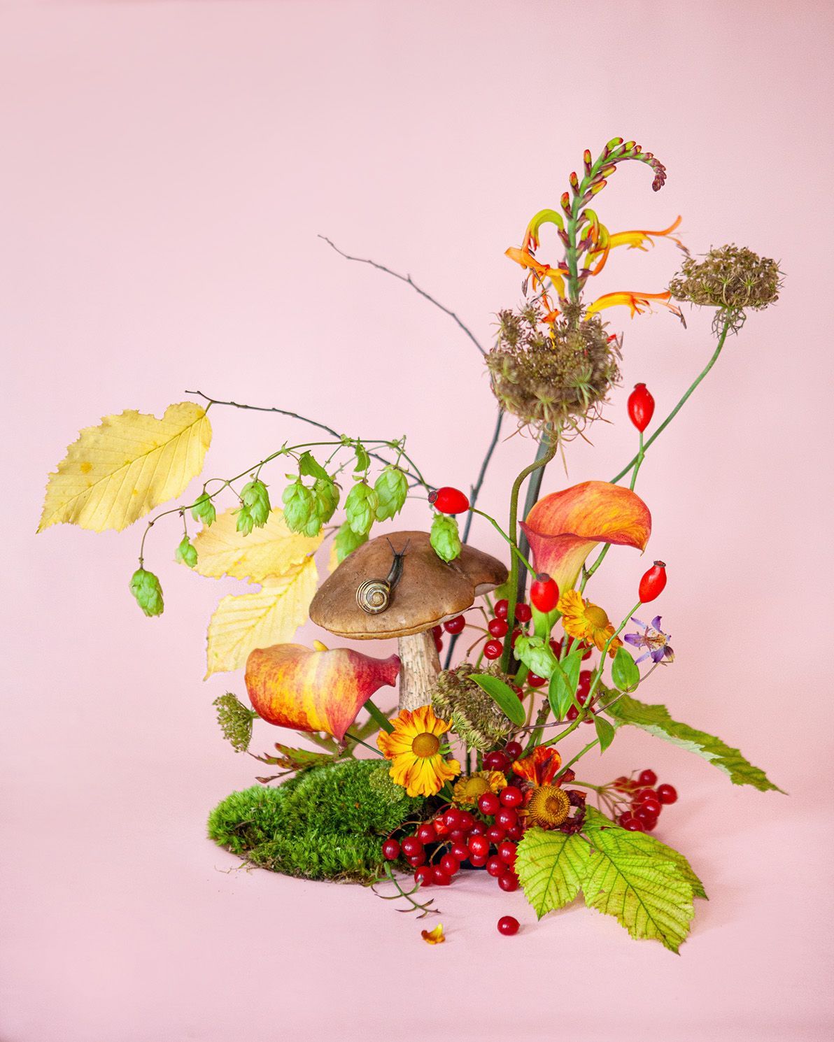 Whimsical autumn arrangement with moss, berries, and mushrooms on pink background.