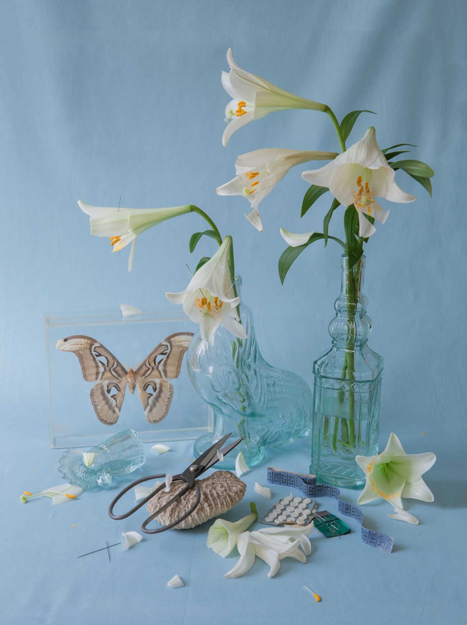 White lilies in blue glass bottles with decorative butterfly and scattered petals against blue backdrop.