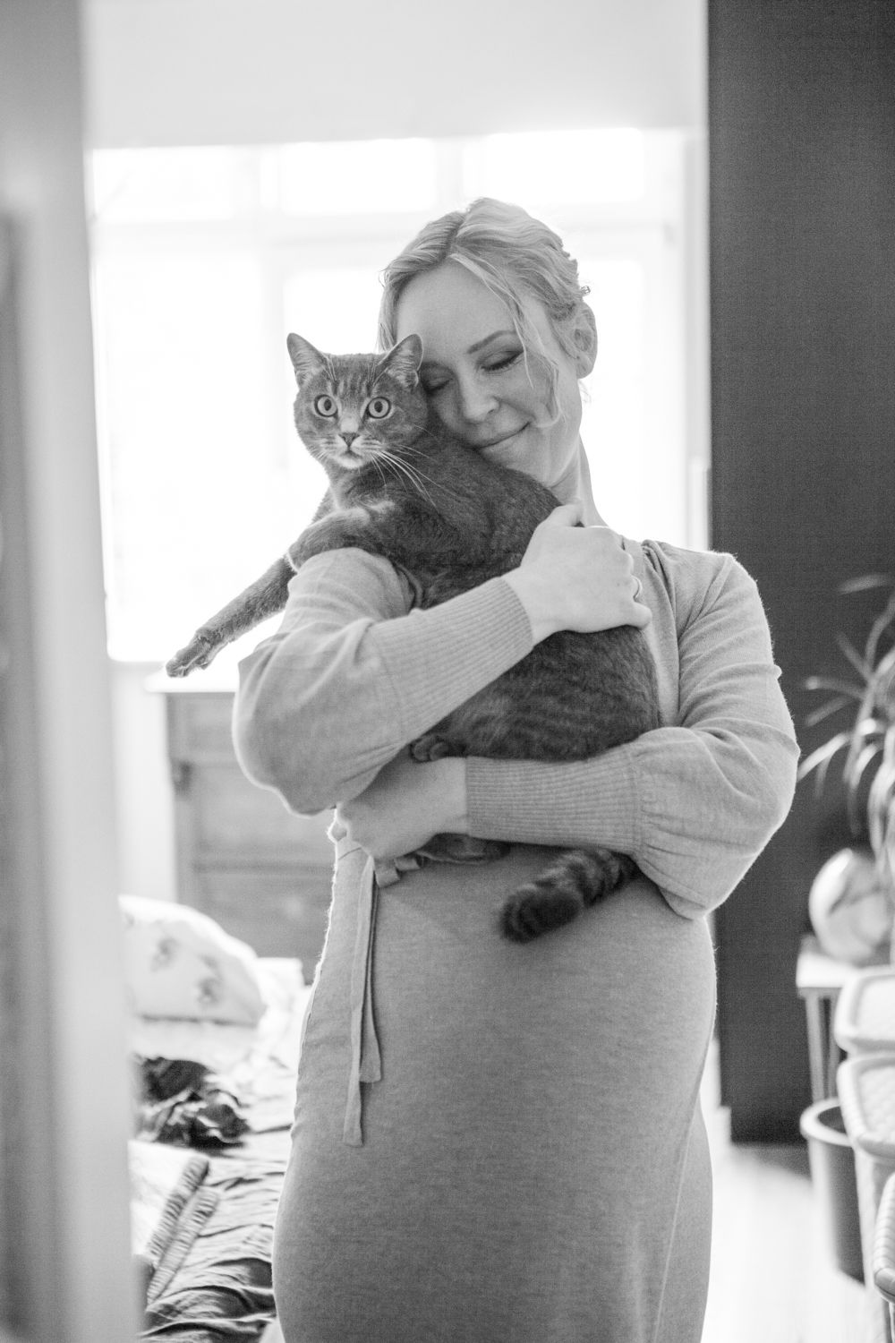 A sweet moment between a grey cat and its owner in a bright indoor setting.