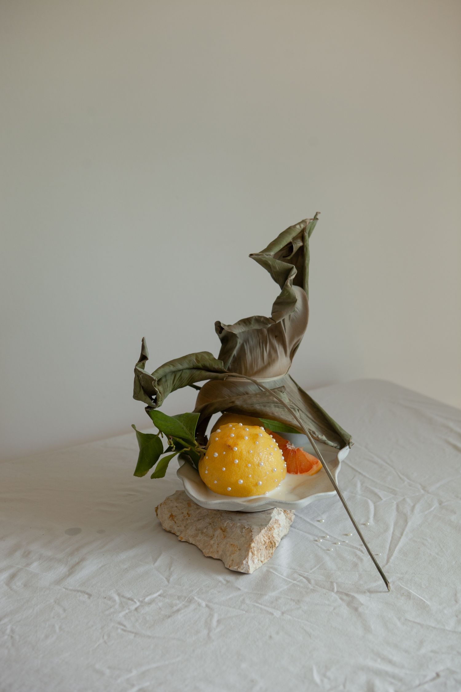 Minimalist still life with citrus fruit and dried leaves on white background.