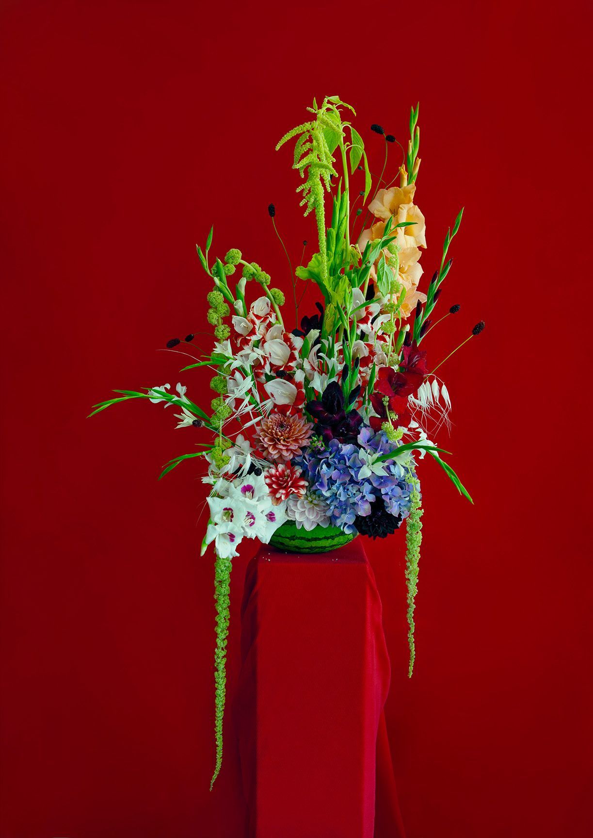 Elegant floral arrangement featuring white orchids, blue hydrangeas, and greenery against a dramatic red background.