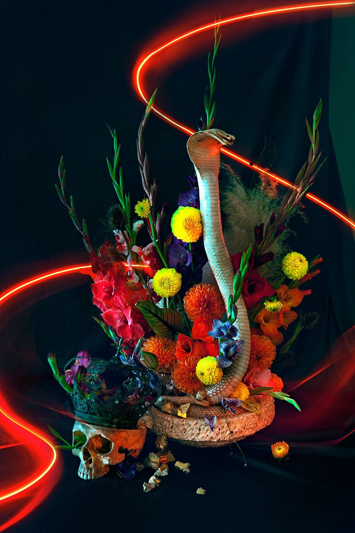 Vibrant floral arrangement with red flowers and neon light trails against a dark background.