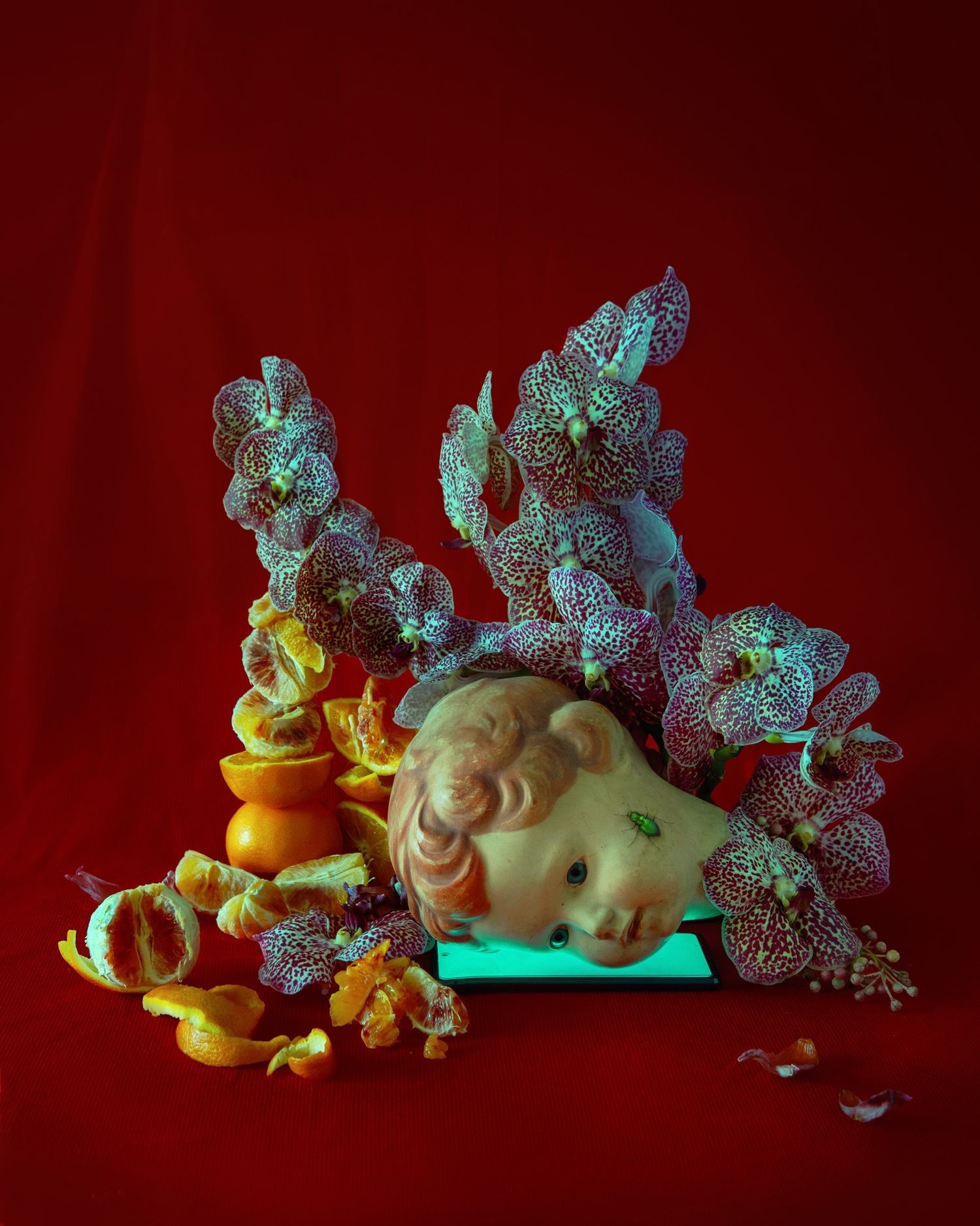 Surreal still life with blue orchids and decorative elements against a deep red backdrop.