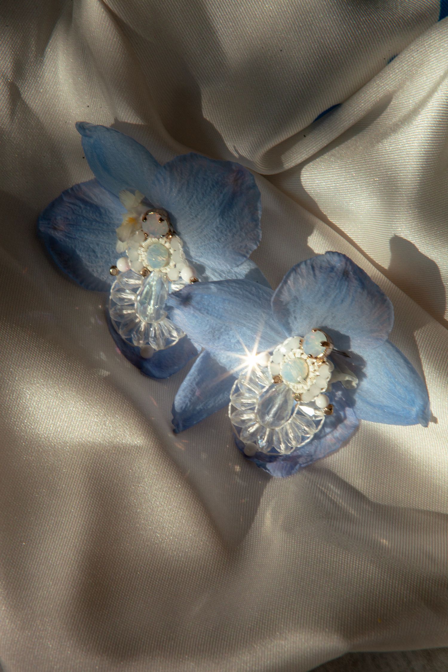 Two blue delphinium flowers with crystal details in dramatic lighting.