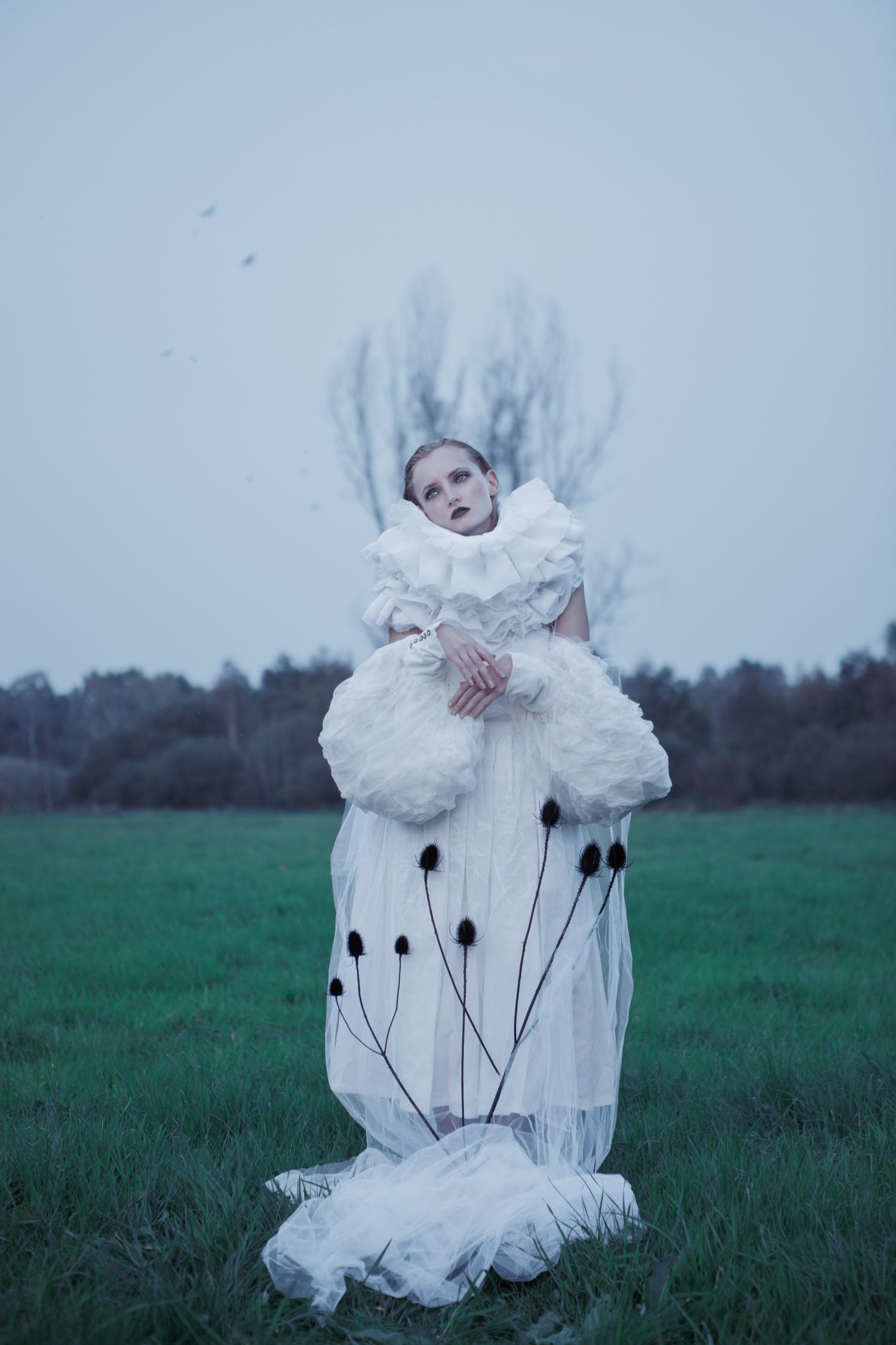 Figure in white Victorian-style dress standing in misty field with dried flowers.