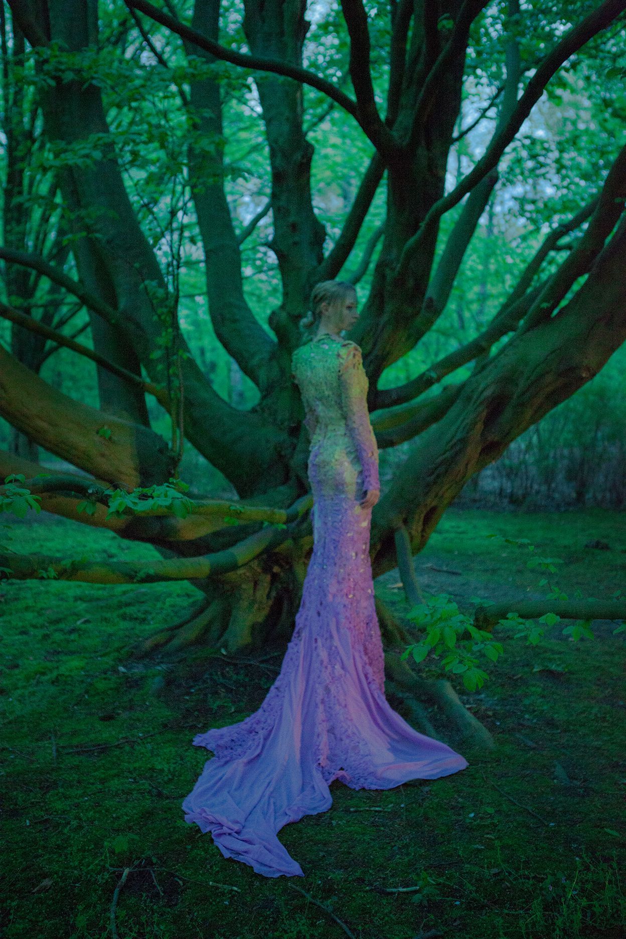 Mystical forest scene with a flowing purple dress against lush green trees.
