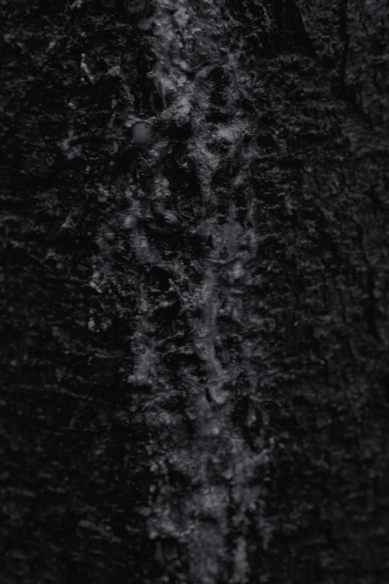 Close-up texture of dark tree bark with mysterious patterns and shadows.