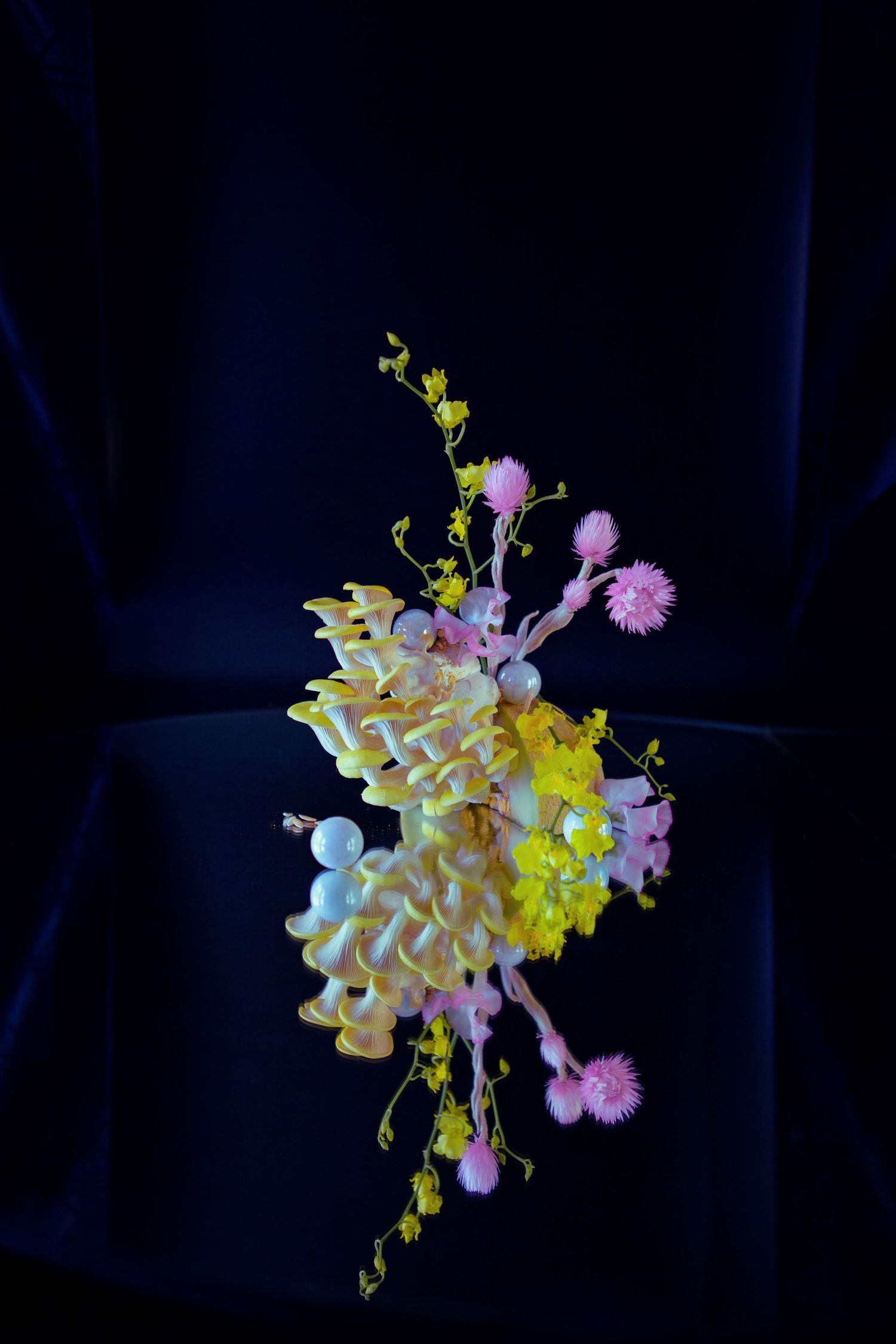 Ethereal white and yellow orchids with pink accents float against a dark background in a dreamy floral composition.