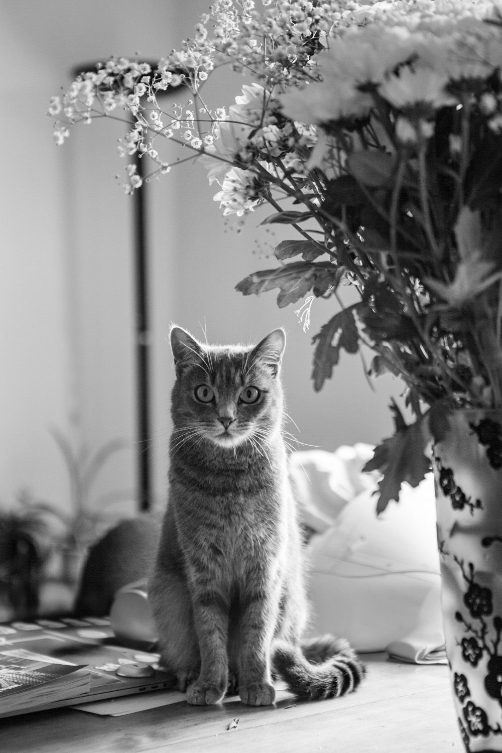 A grey cat sits alertly next to a vase of flowers in a black and white photograph.
