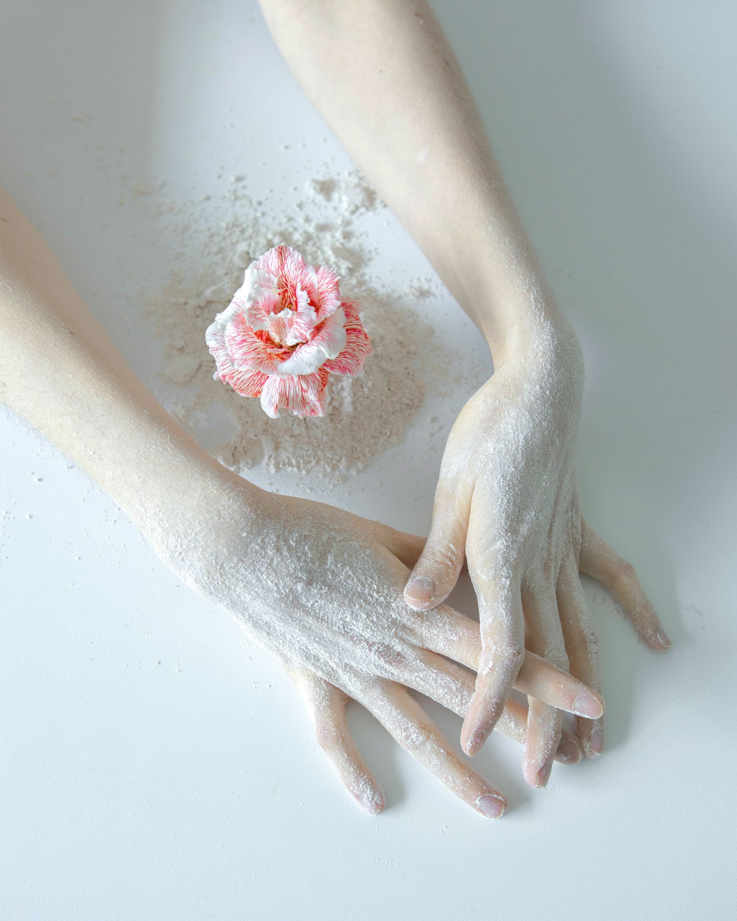 Artistic still life of powdered hands with pink flower against white background.