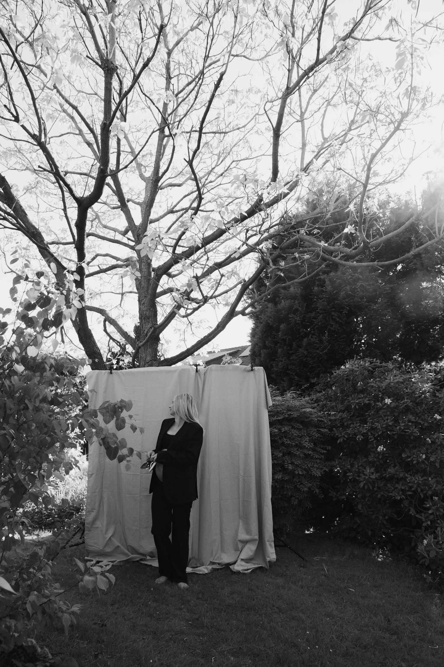 Black and white photograph of bare winter trees against a white backdrop.