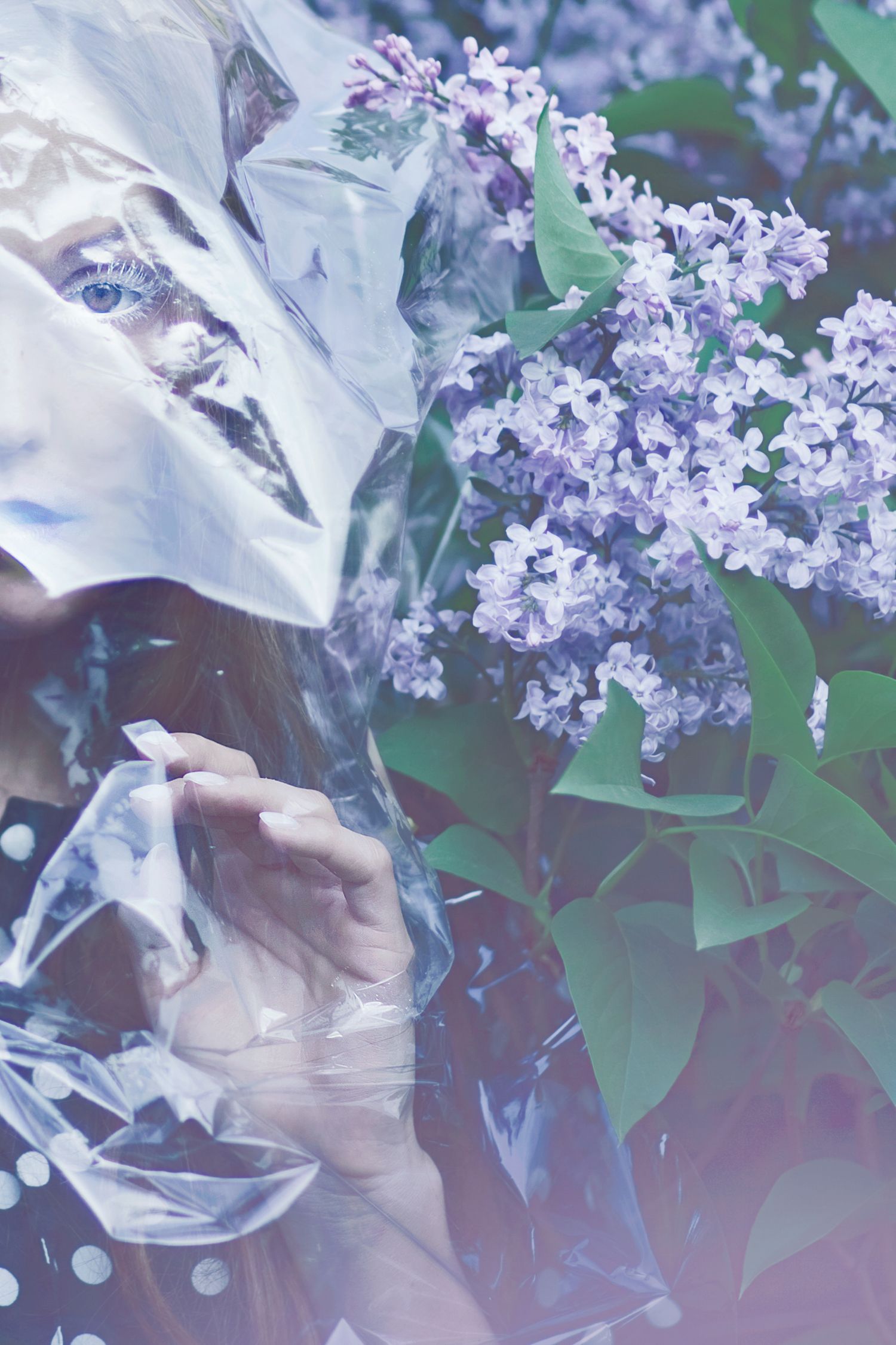 Delicate white fabric flowing near blooming purple lilac flowers in artistic composition.