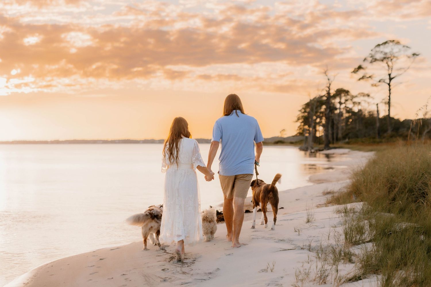Couple walking hand-in-hand with dogs on a sandy beach at sunset, woman in white dress, man in blue shirt.