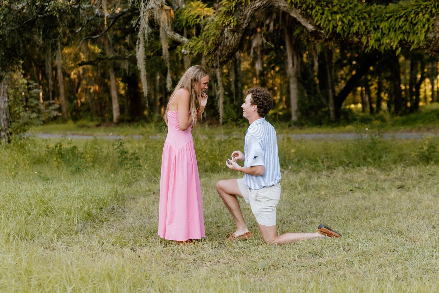 A romantic proposal scene unfolds in a sunlit meadow with trees in the background.