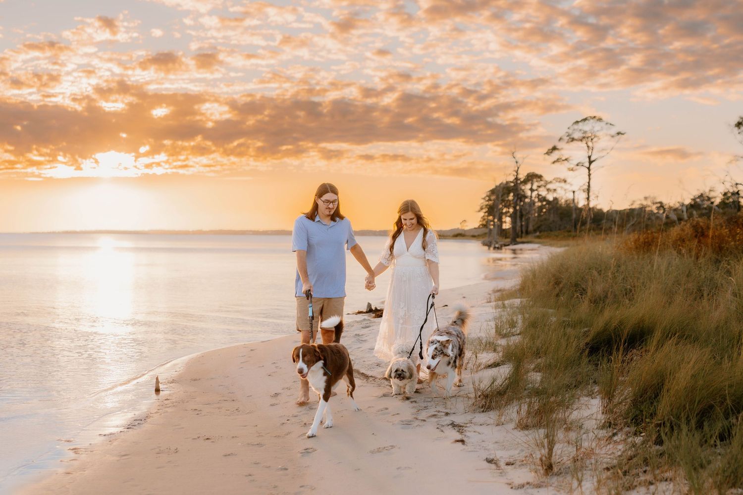 Couple walking dogs on beach at golden sunset, woman in white dress holding hands with partner near ocean shore.