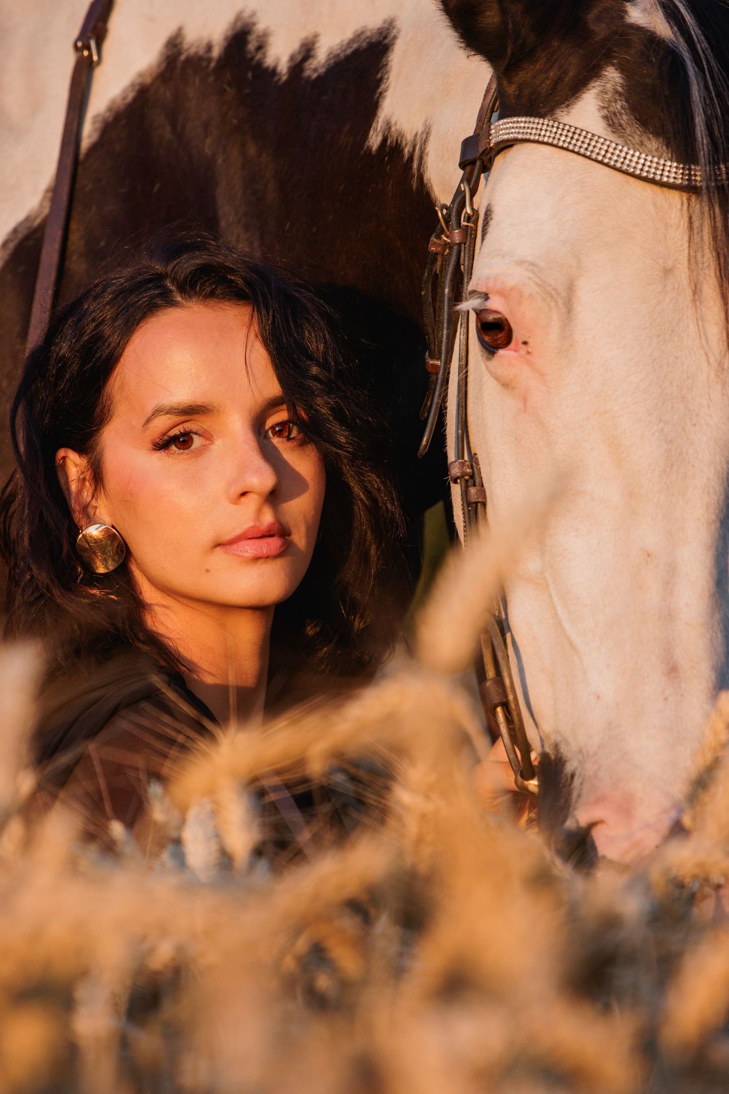 Photographie de cheval au repos dans un cadre naturel breton authentique