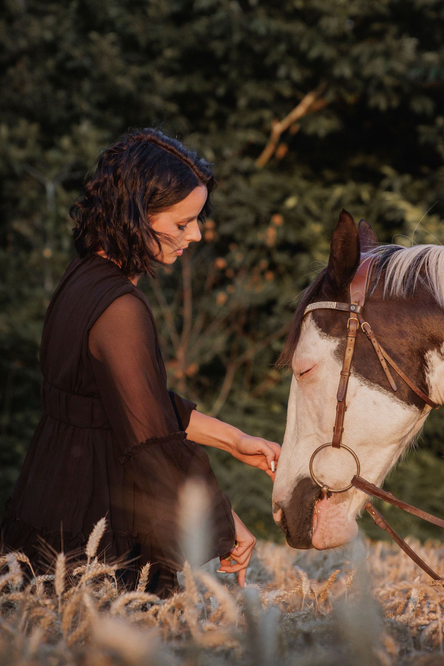 Instant complice entre cavalière et cheval lors d’une séance photo
