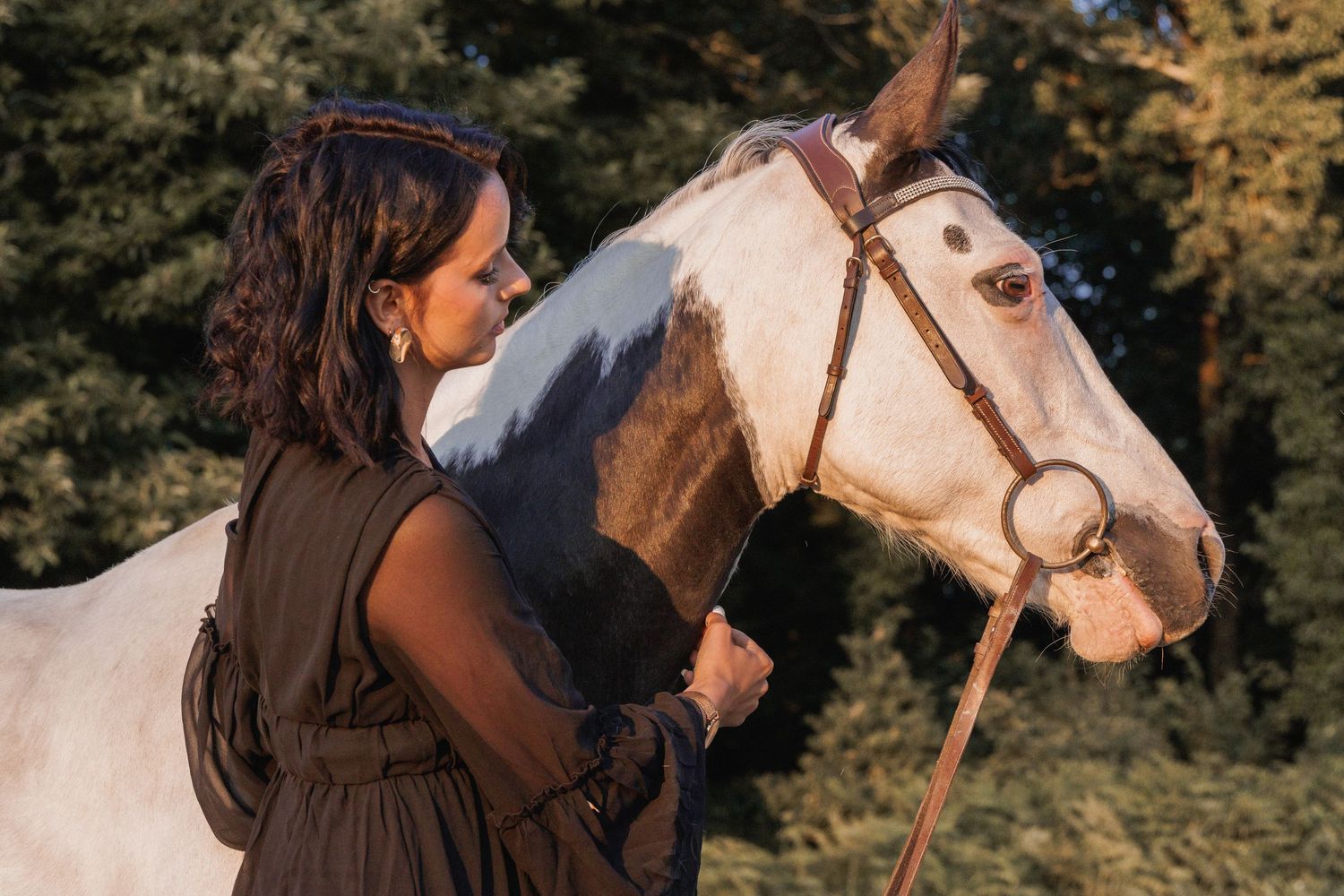 Portrait de cheval alezan en lumière dorée au bord d’une rivière bretonne