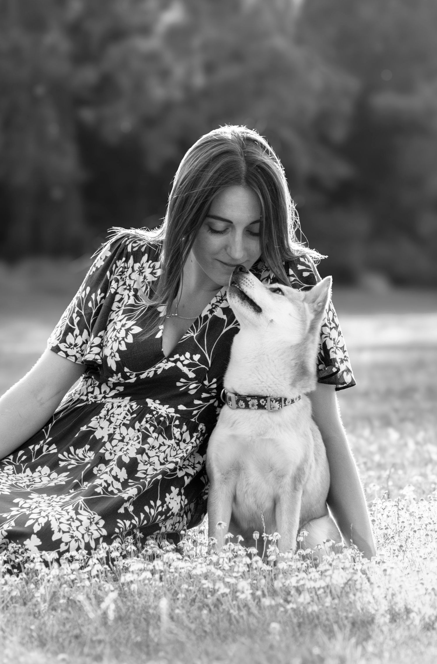 Séance photo professionnelle pour chien en extérieur en Bretagne