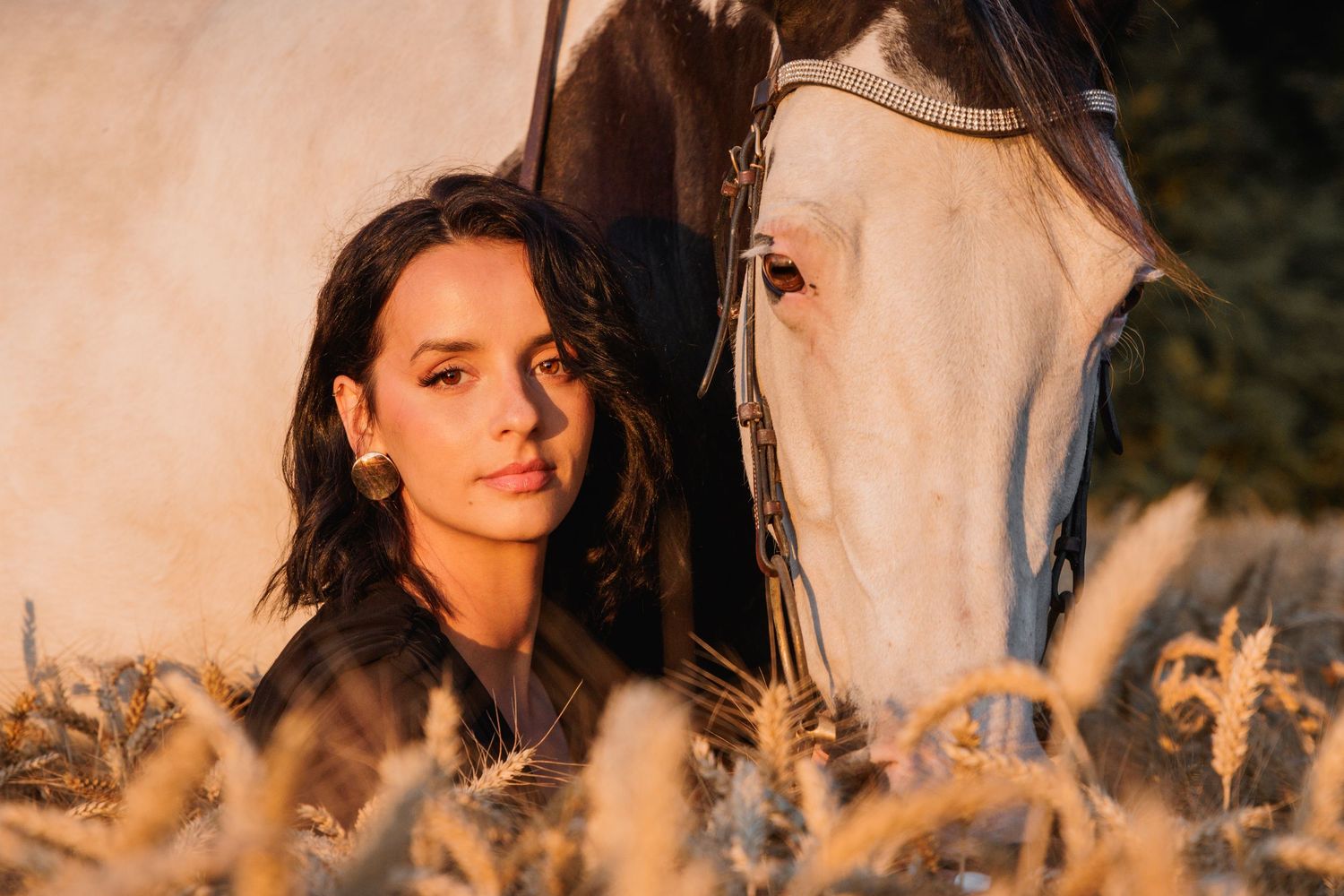 Instant de complicité entre cavalier et cheval pendant une séance photo