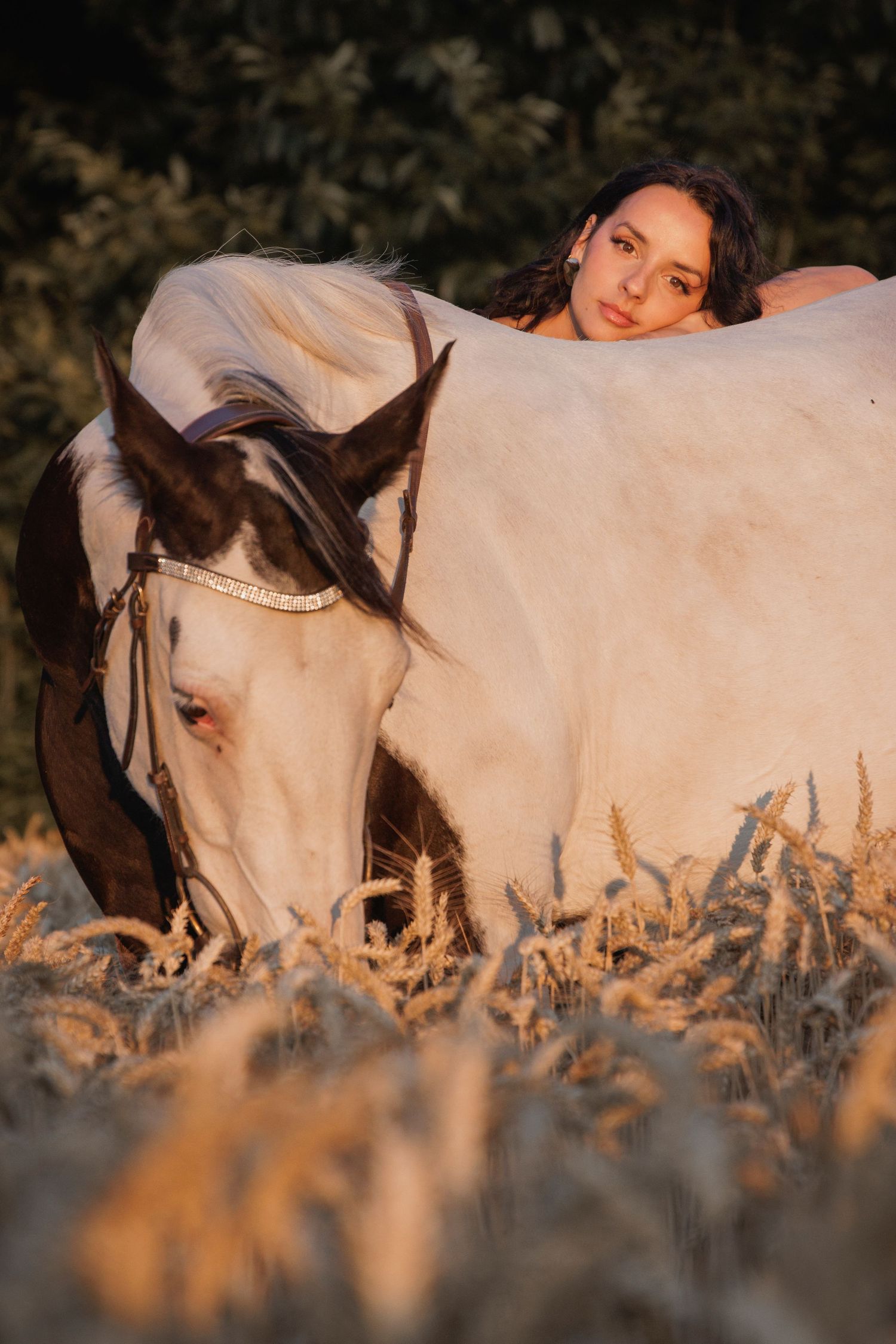 Cavalière élégante avec son cheval dans un paysage champêtre en Bretagne