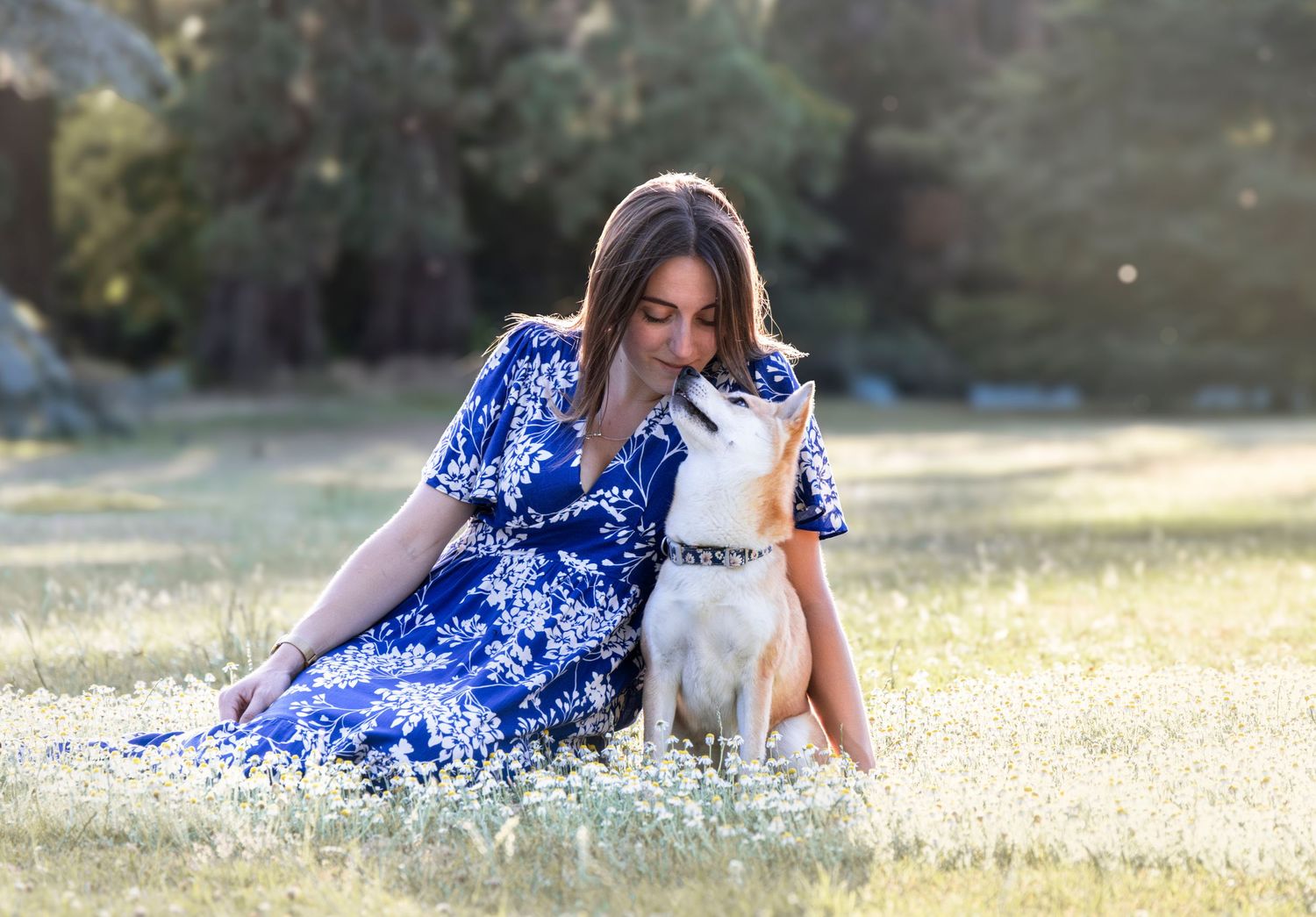 Instant capturé d’un chien joyeux en forêt lors d’une séance photo