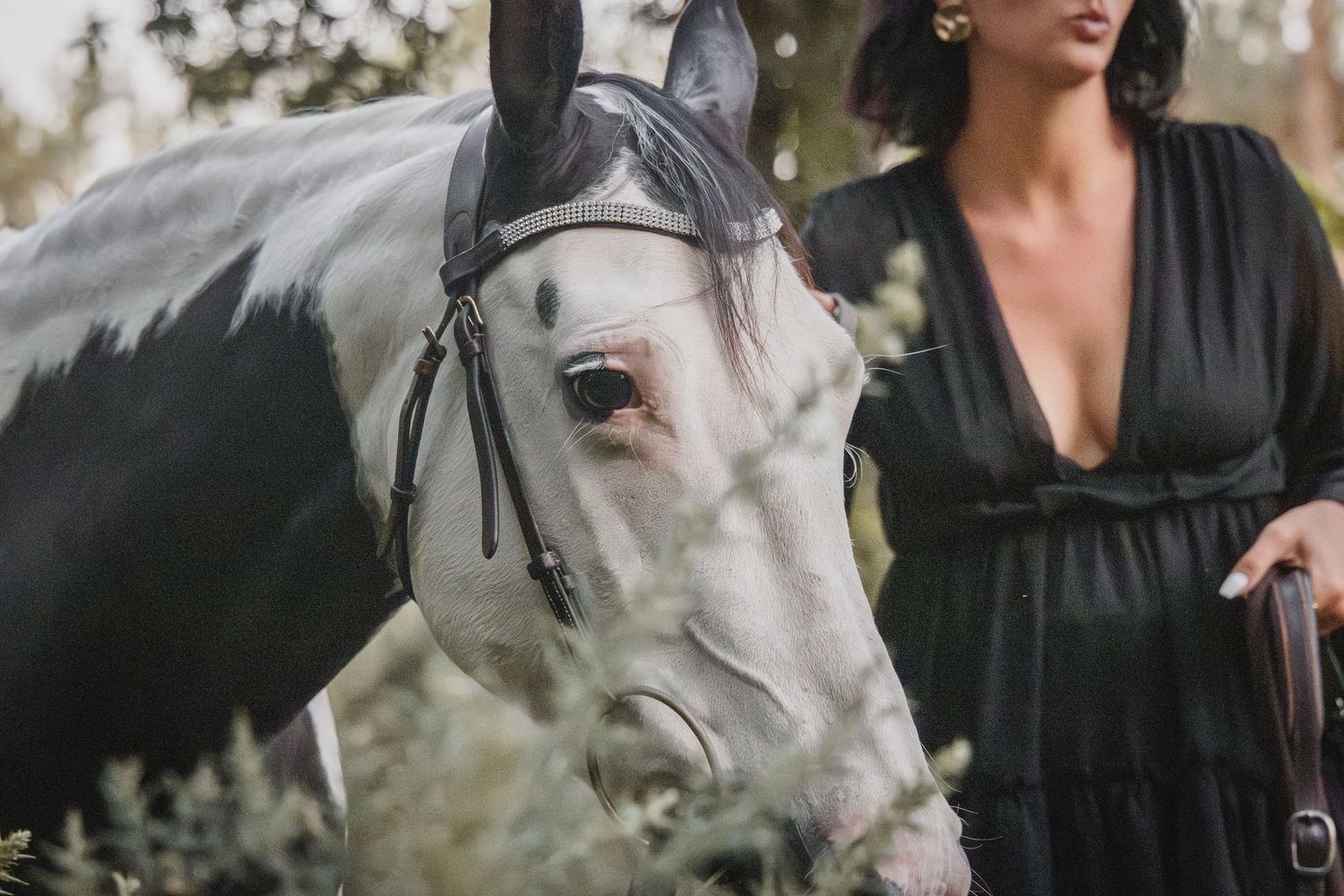 Shooting photo extérieur avec cheval et cavalière en Bretagne